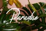 - \"Paradise\"