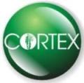 Cortex