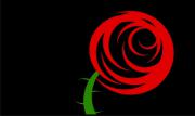   Red Rose